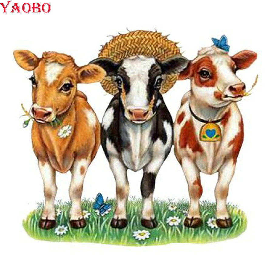 HTB1qskmasfrK1RkSmLyq6xGApXak