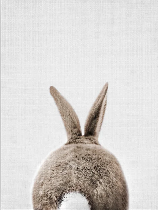 Kawaii кроличий хвост Банни холст картина Детская стены Искусство животных плакат печать скандинавского леса картина для маленьких девочек комната Домашний декор - Цвет: Rabbit Tail
