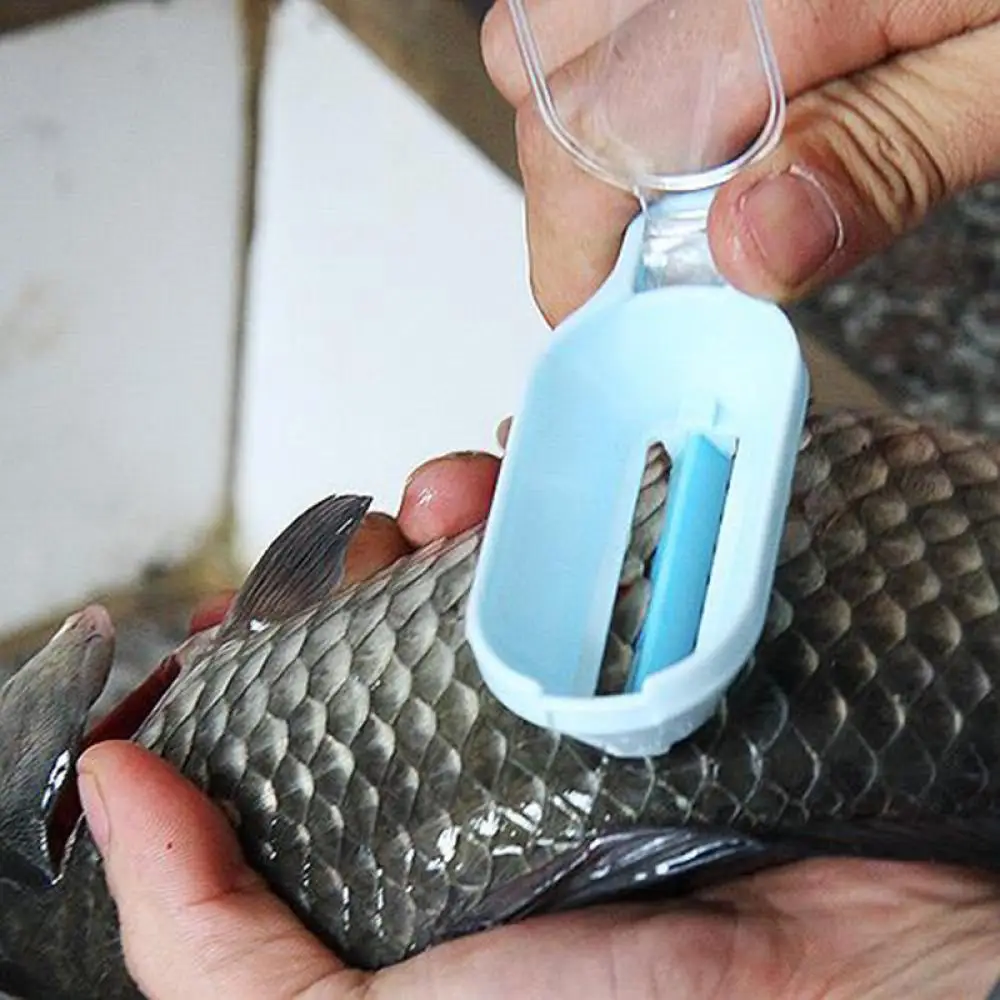 

1pcs Plastic Fish Cleaning Tool Practical Kitchen Scraping Scales Device Fish Skin Steel Fish Shaver Remover Cleaner Descaler