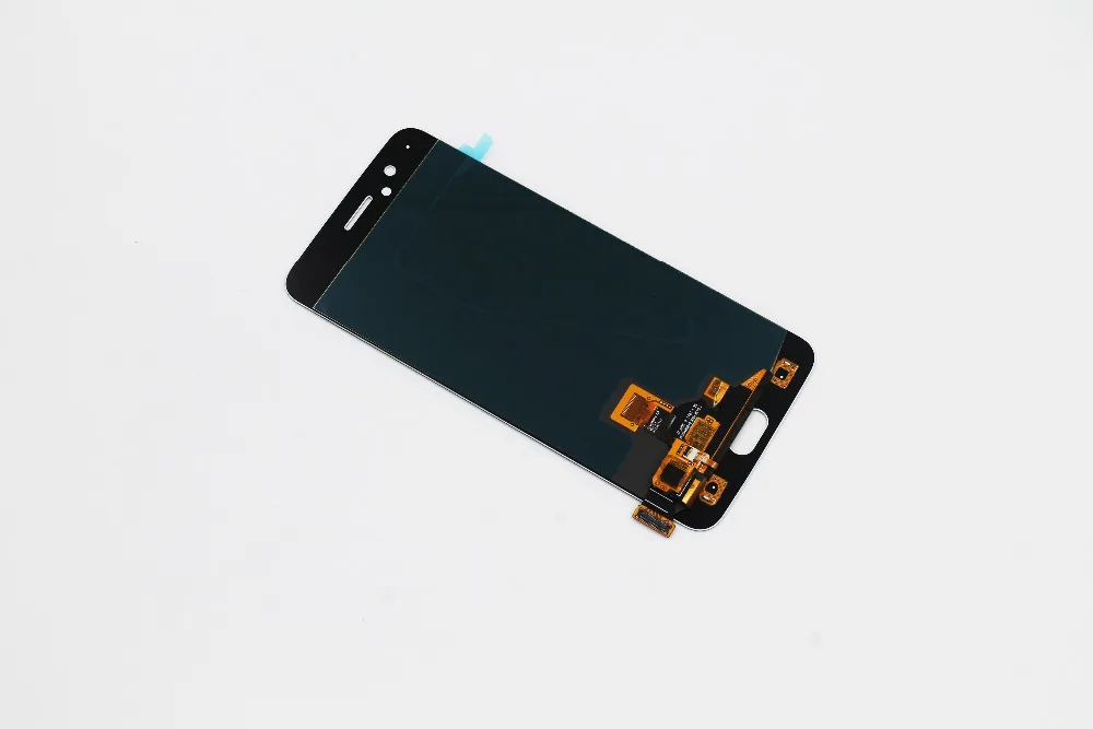 IMG_1390