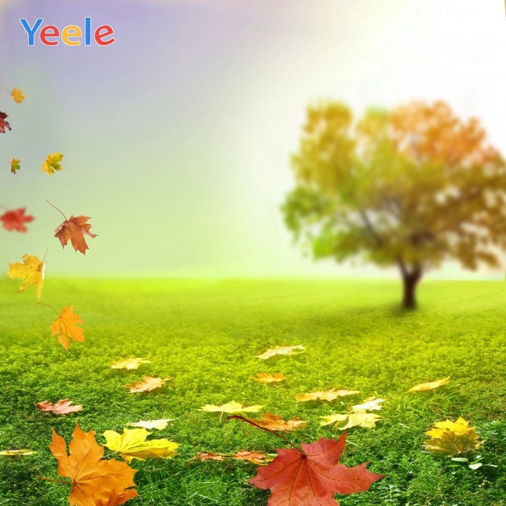 Yeele осенние луга листья освещение с эффектом «Боке» ПОРТРЕТНАЯ ФОТОГРАФИЯ фоны индивидуальные фотографические фоны для фотостудии