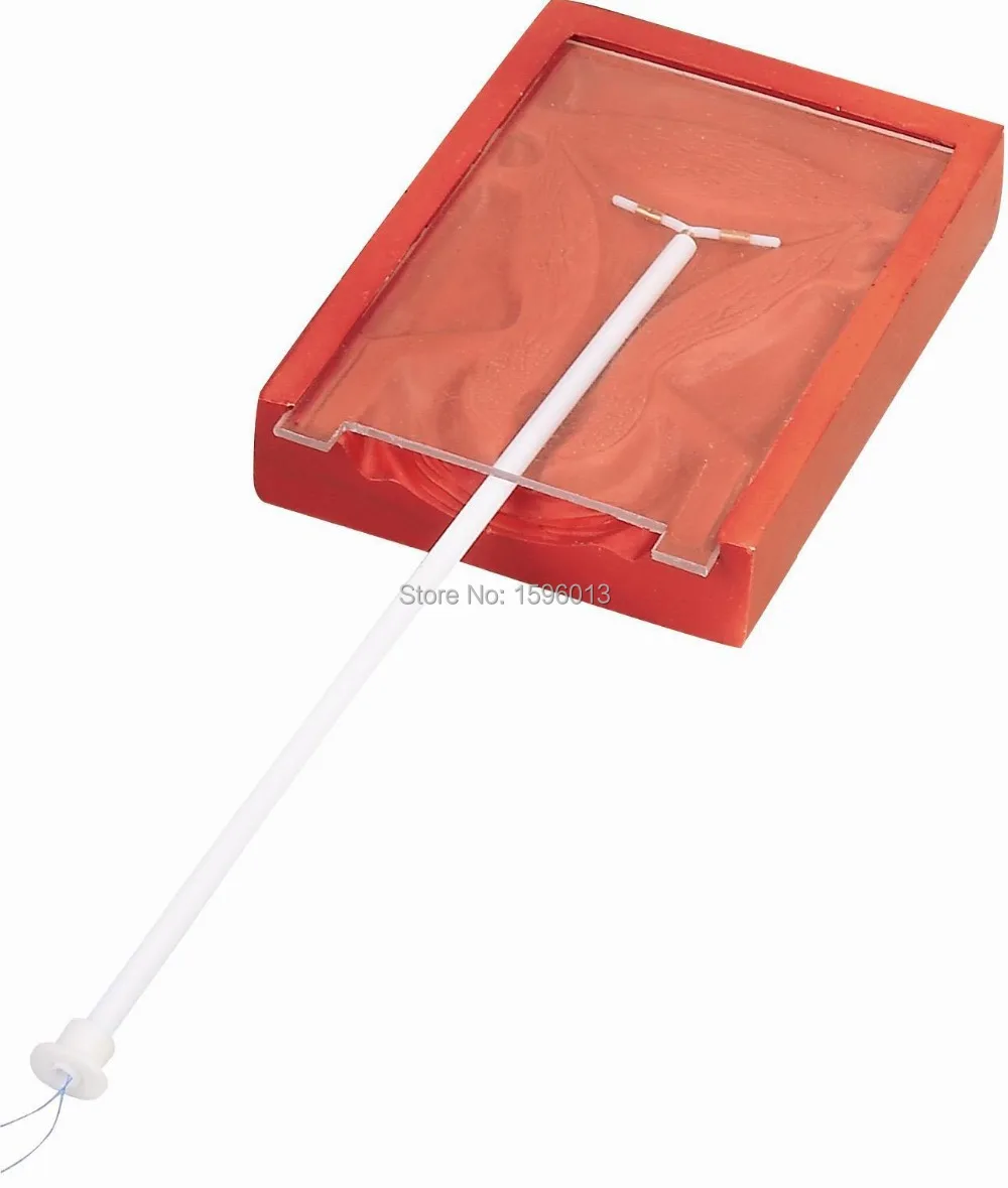 IUD Training Simulator, внутриматочное устройство контрацептивная медицинская обучающая анатомическая модель