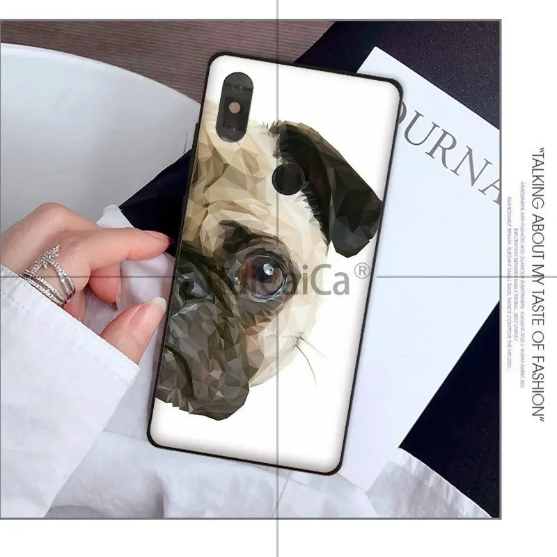 Animal cute pug