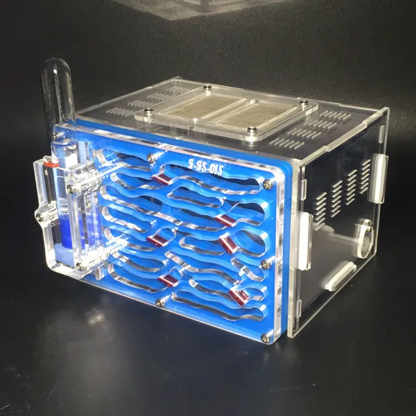 Ant-city-fs-01 (5)