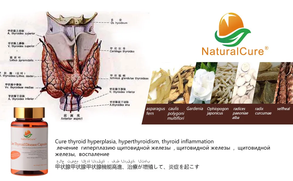 NaturalCure Cure Thyroid Diseases Caps ules Cure Thyroid Swelling Balance Thyroid Hormone Secretion TCM Chinese Med