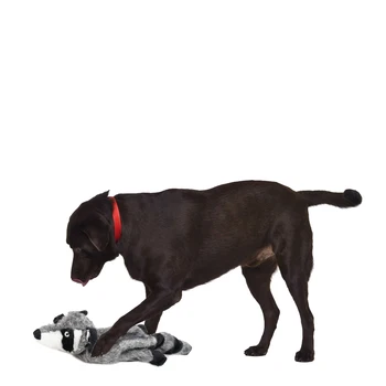 

Brand New Dog Toy Squeaking Squirrel Style Dog Toy Plush Toy for Pet Dogs Chew Aqueaker Squeaky Plush Sound Toy Design for Dogs