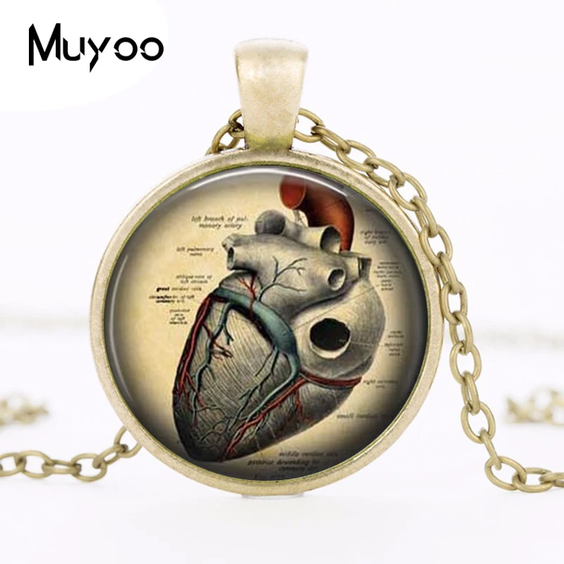 Анатомическая подвеска в форме сердца, анатомическое ожерелье в форме сердца, готическое ожерелье в стиле стимпанк, подвеска с научной тематикой, подарок студенту-медику HZ1