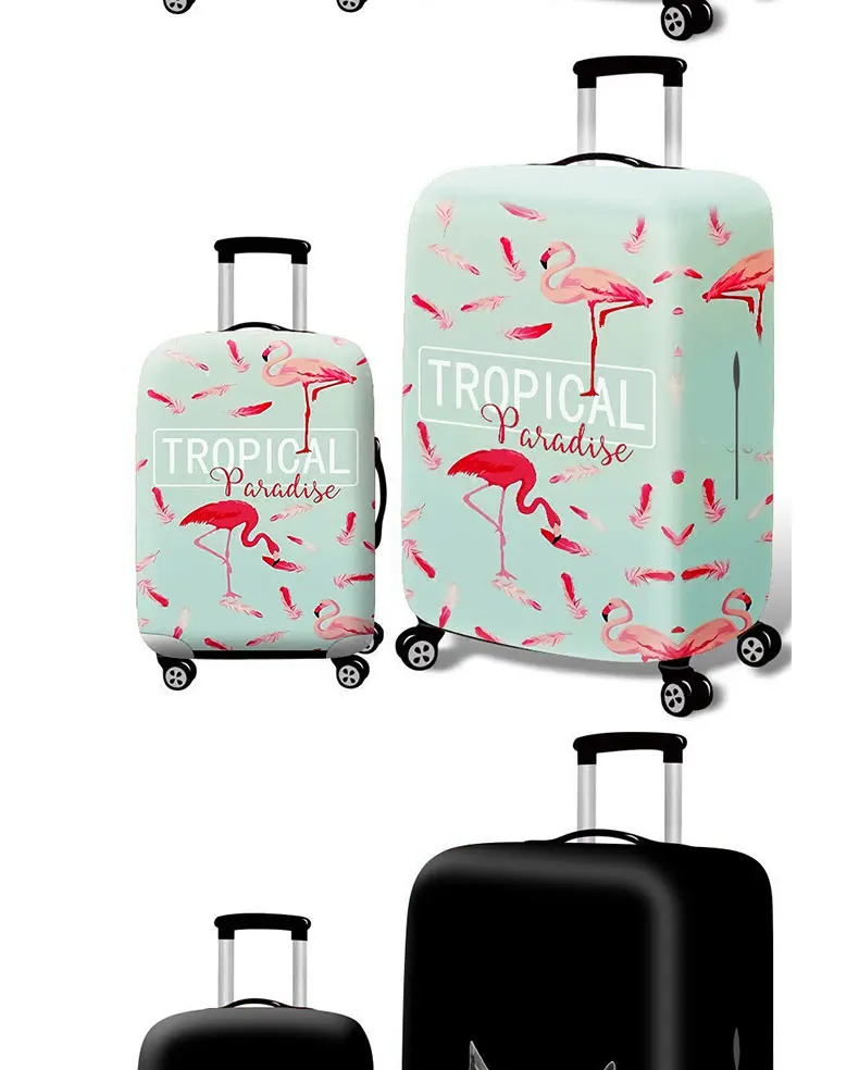 8722599669_178549433_03