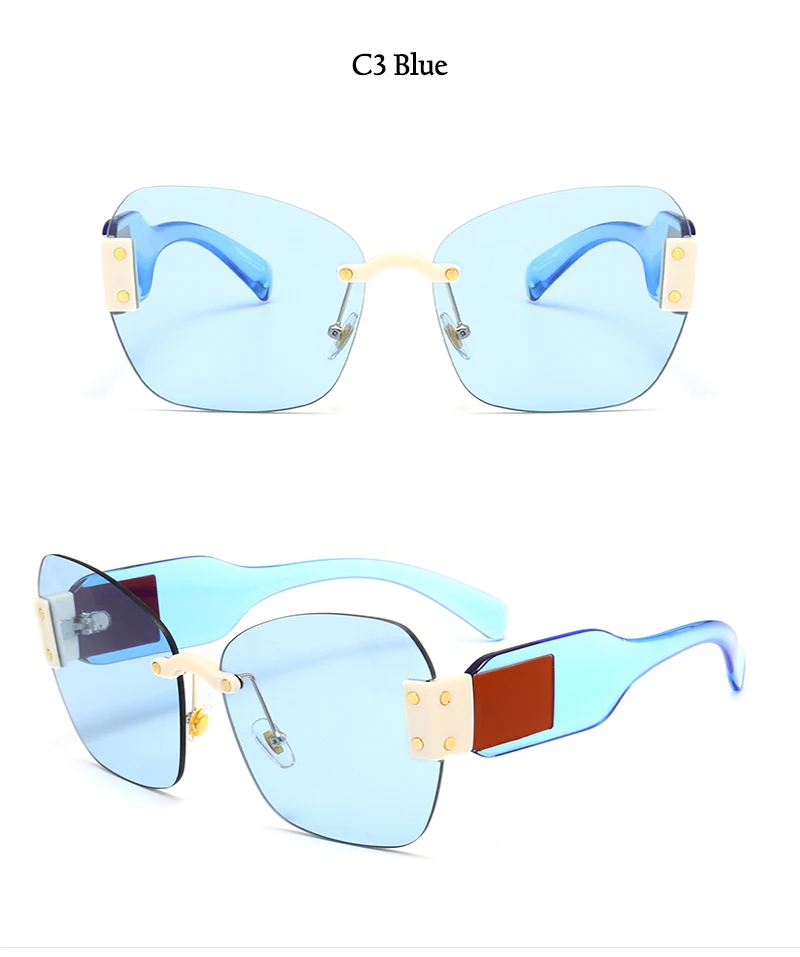 2018 New Cat Eye Goggle Sunglasses (16)