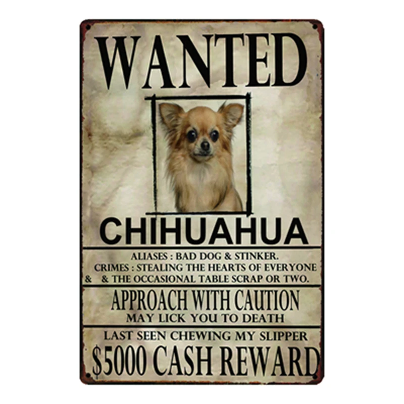 [Kelly66] собака Wanied Border Collie Chihuahua металлический знак оловянный плакат домашний Декор
