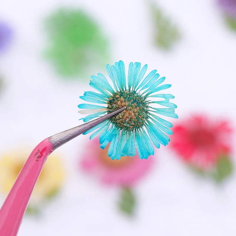 Смешанные цвета высушенный цветок для украшения ногтей смешанные натуральные цветы для наклеивания на ногти сухие цветочные украшения аксессуары для маникюра
