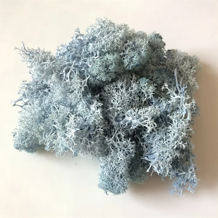 Immortal moss diy flower accessories (11)