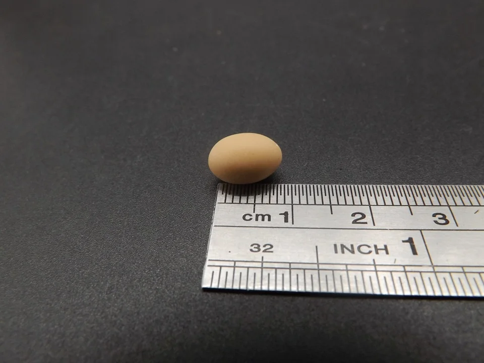 Tiny-A025Egg (9)