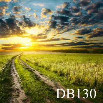 

Polyester Backdrop Spring Sunrise Green Grass Road Background Photography Studio Prop Photographic Seamless Washable No Crease