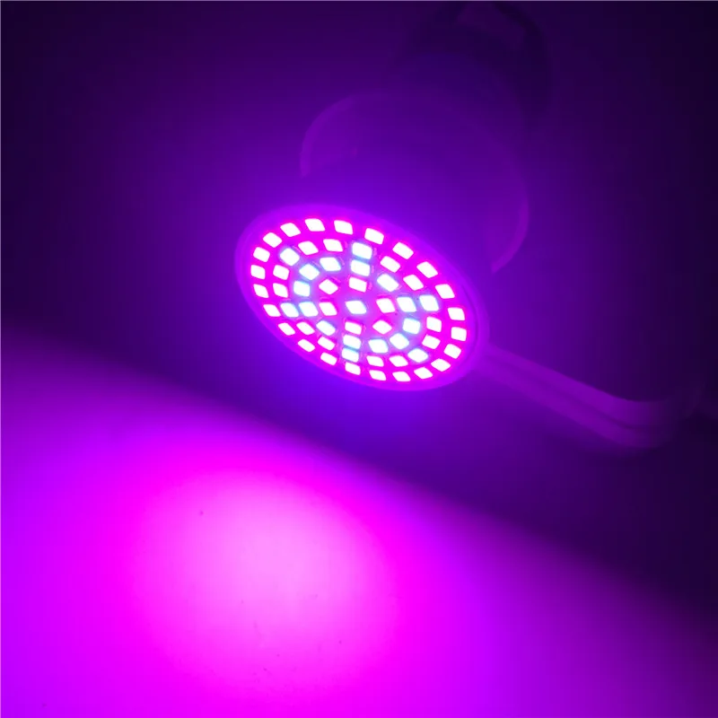 Leedome LED Phyto лампы полный спектр светодиодный свет для выращивания 48 60 80