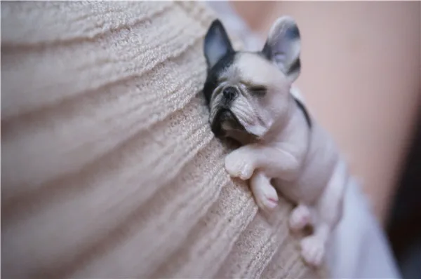 French Bull Dog Sleeping Lazy Pets Fridge Magnets PVC Figures Toys Car Home Office Decoration Gifts - Buyer's Show 4