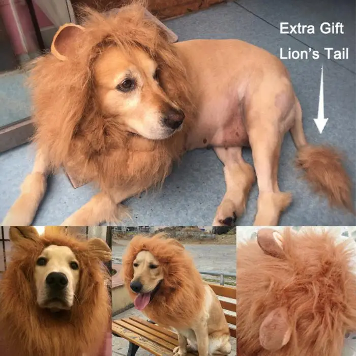 lion mane wig with tail costume adjustable lion hair dog clothes cozy fabric material lion mane wig for your pet is made out of fur and polyester blends perfectly lion