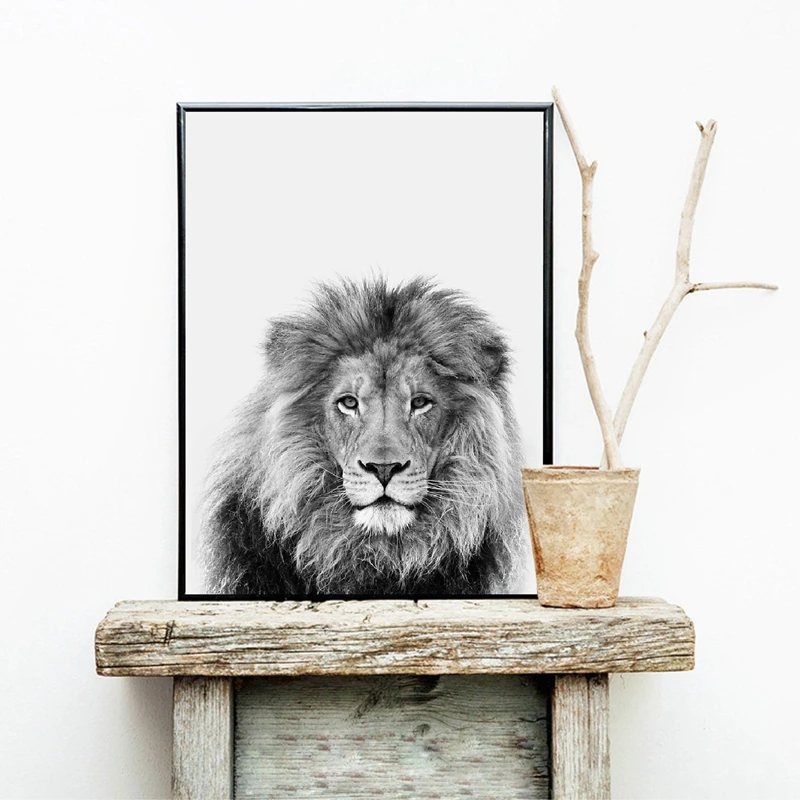 Lion Animal Canvas Print