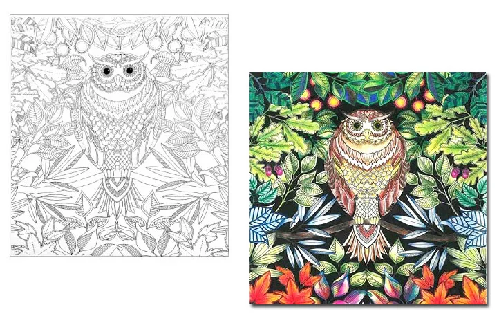 Aliexpress Buy 4PCS LOT 24 Pages English Edition Secret Garden Fantasy Dream Enchanted Forest Animal Kingdom Coloring Book Painting 60607 From
