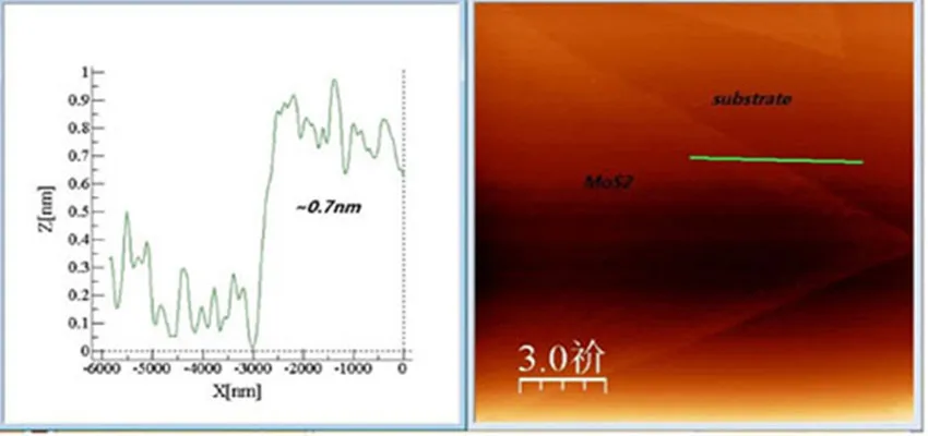 MoS2-AFM__
