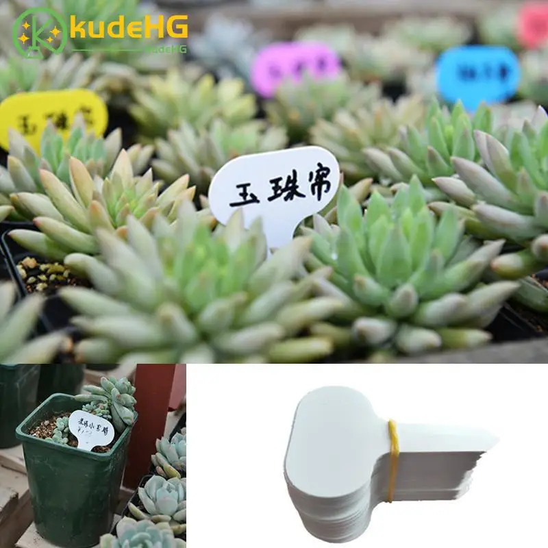 

KUDE 50Pcs Nursery Plant Tag T-type Plastic Plant Label Garden Nursery Pots Planters Flower Thick Plant Tag Label Marker 141