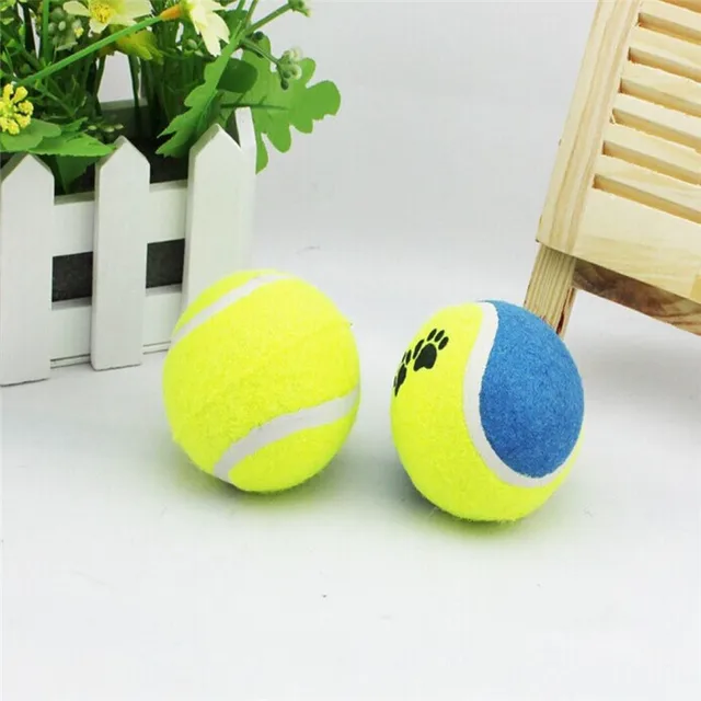 5 X Pet Dog Tennis Ball Toy For Small Medium Puppy Play Training 5 X Pet Dog Tennis Ball Toy For Small Medium Puppy Play Training Exercise Fetch