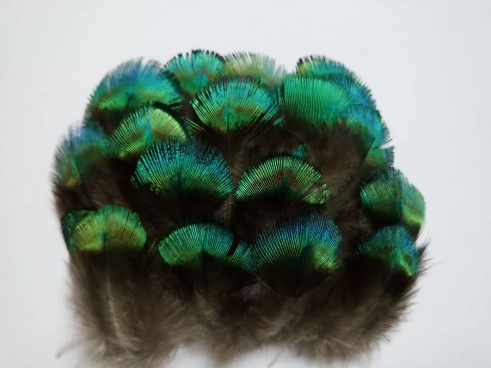 

New! SALE 10 pcs high quality peacock feather, 3-5cm DIY jewelry decoration