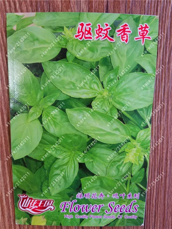 

True Mozzie Buster Sweetgrass Mosquito Repelling Grass Garden & Home Bonsai Indoor Plant Easy planting factory package