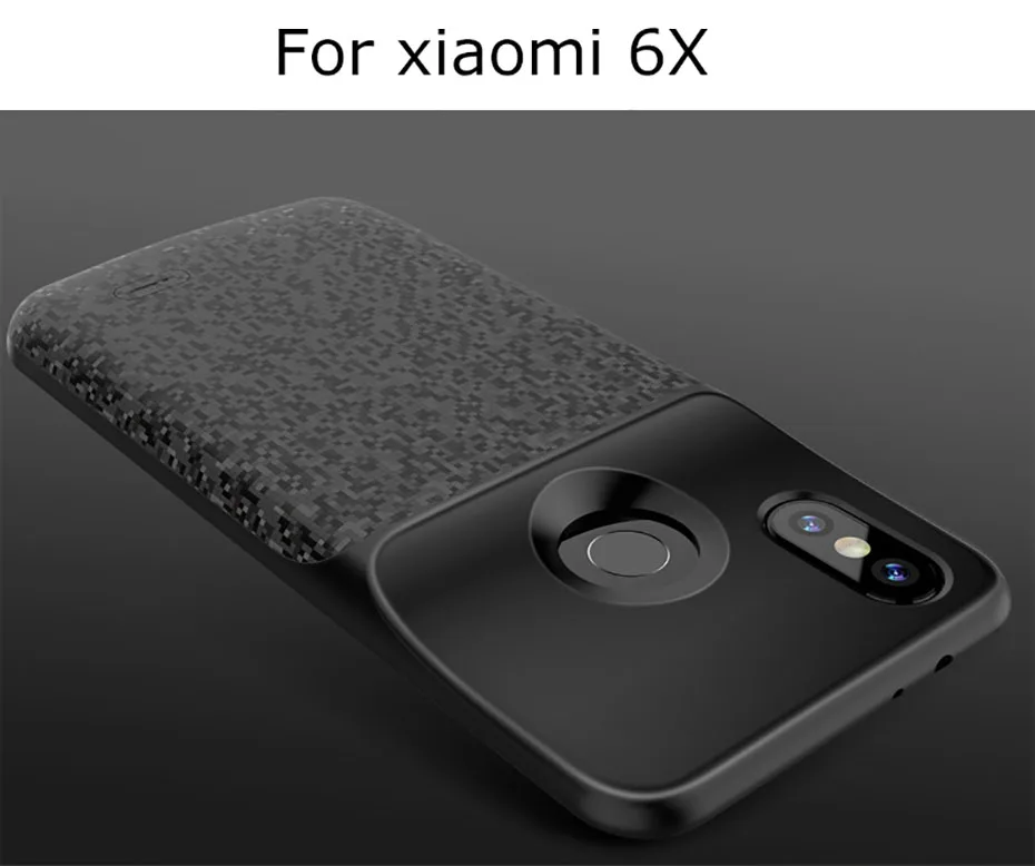6X (1)