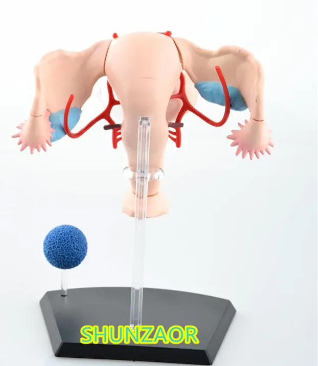 4D 4