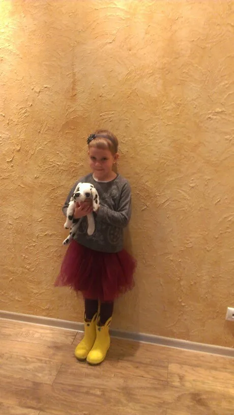 UT8l3gwXu8XXXagOFbXK