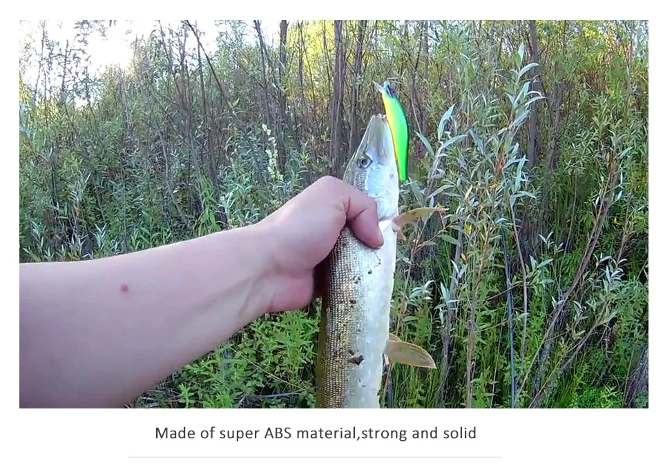 M65-FISH2