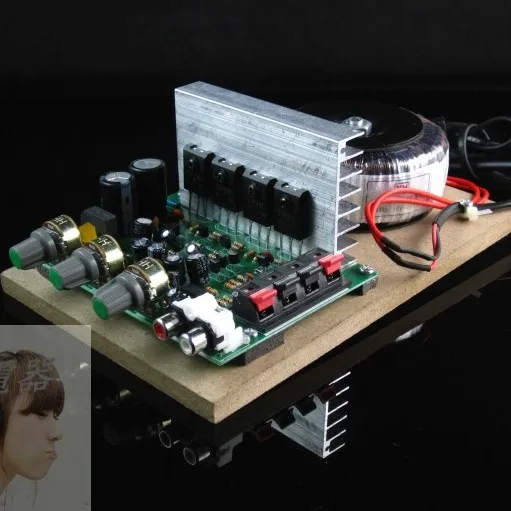 

200W220 Volt High Power Field Effect Transistor Front Stage + Post Stage Power Amplifier Hi-Fi