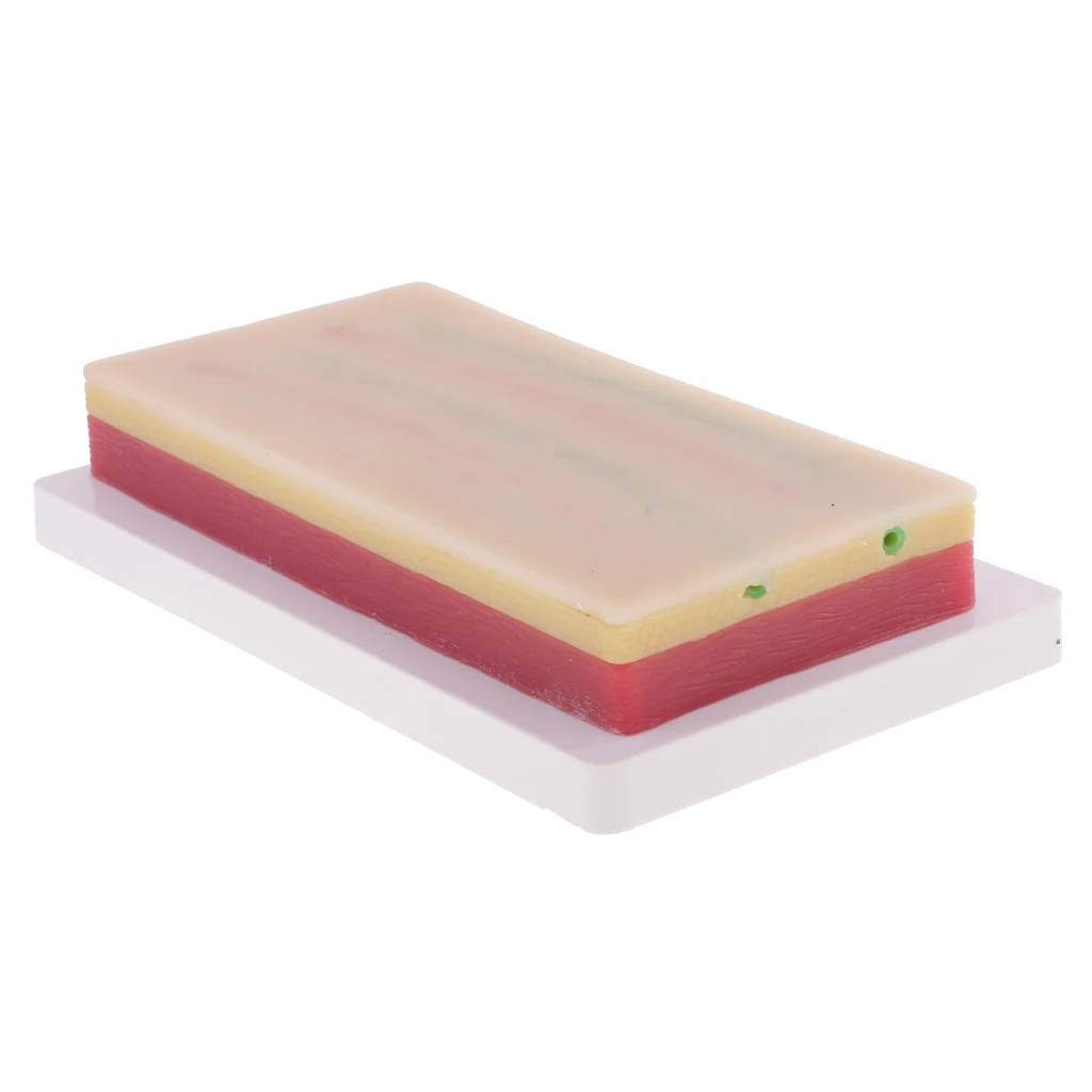 2 Sets Human Skin Wound Suture Pads & 3-Layers Skin Models Suturing Repeated Practice Kits Medical Teaching Tools