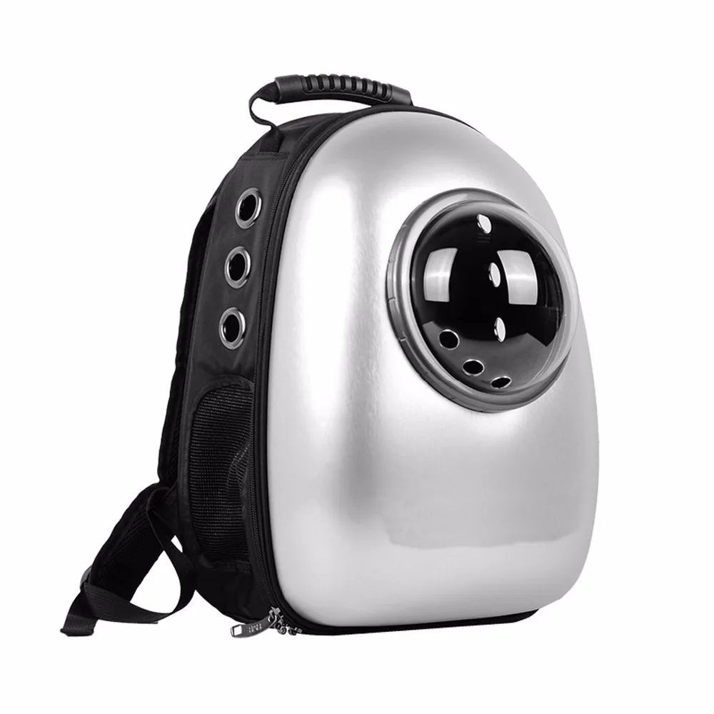 4118325145_376995914