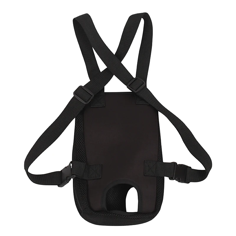 backpack dog