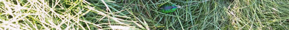 ENG_47