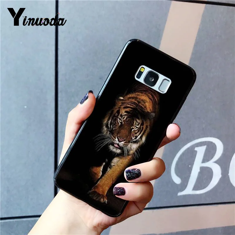 Russian version wolf tiger lion Leopard bear animal