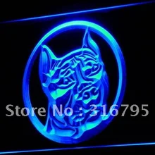 I678 мини бульдог магазин ПЭТ Животные NR светодиодный неоновый Световой значок кнопки вкл/выкл 20+ Цвета 5 размеров