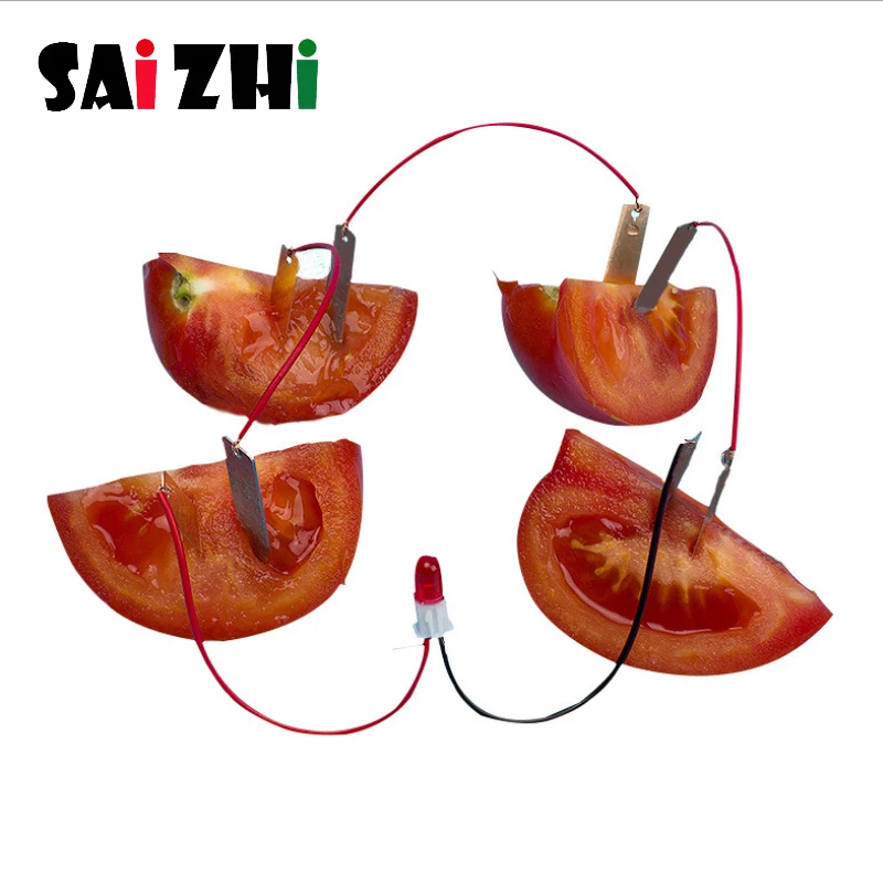 Saizhi DIY Homemade Fruit Battery Power Educational Electricity-generating Experiment Kit Potatoes Battery Generator SZ33f7 afbeelding
