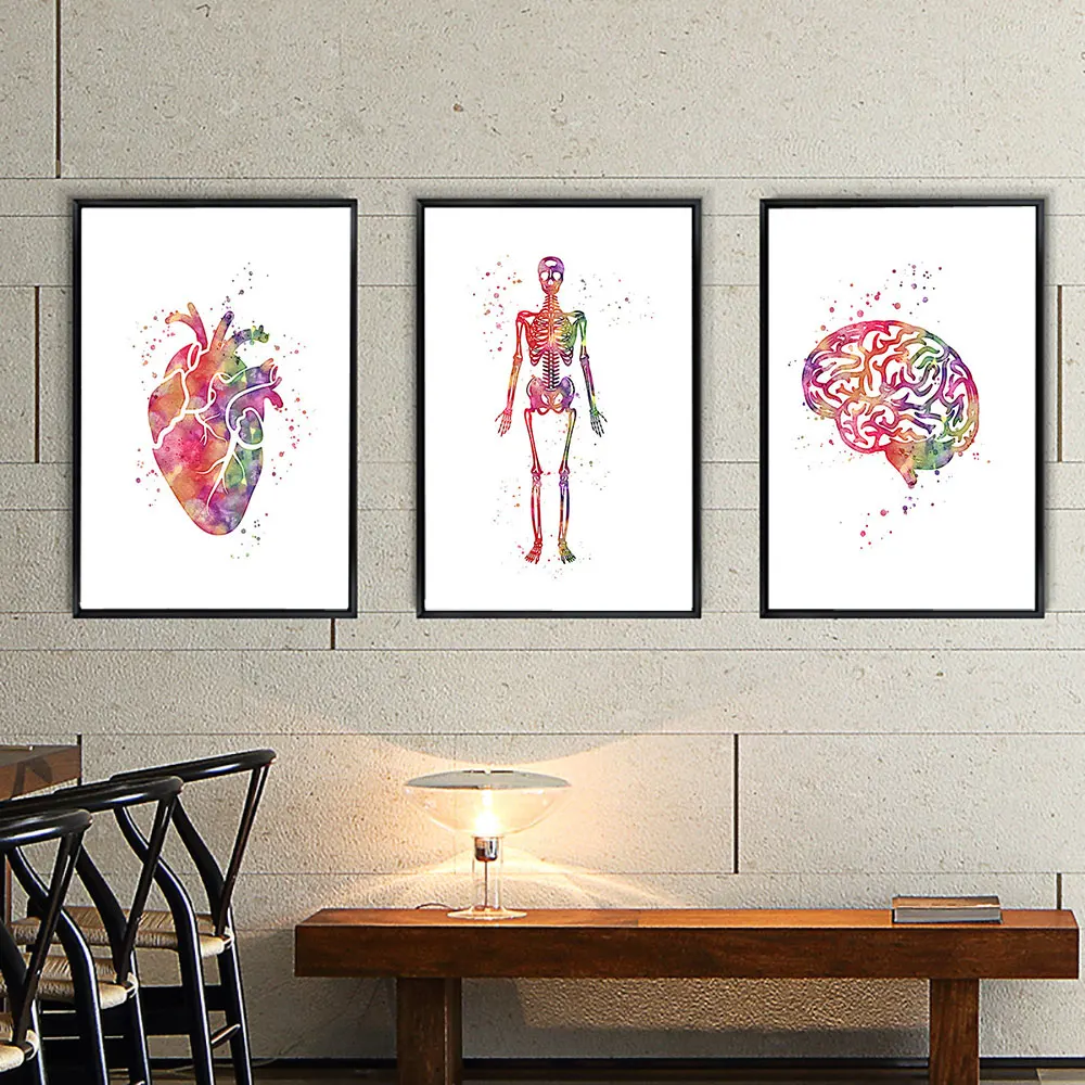 

Human Anatomy Wall Art Poster Nordic Style Print Watercolor Decoration Picture Home Decor Black Metal Organic Glass Framed