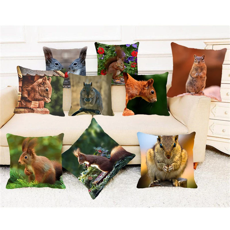 

XUNYU Cute Pet Cushion Cover Squirrel Pattern Decorative Pillowcase Sofa Home Throw Pillowcase 45*45cm AA035