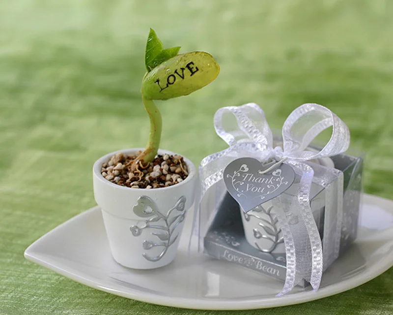 100 шт./лот белый горшок романтический маленький цветочный горшок новинка милые свадебные сувениры, подарки для вечеринок садовые сувениры