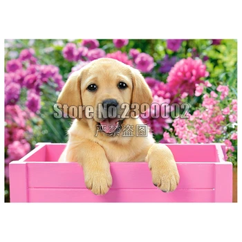 

5d Diy Diamond Painting Christmas Labrador Puppy in Pink Box Art Cross Stitch Diamond Embroidery Animals Full Mosaic Home Decor