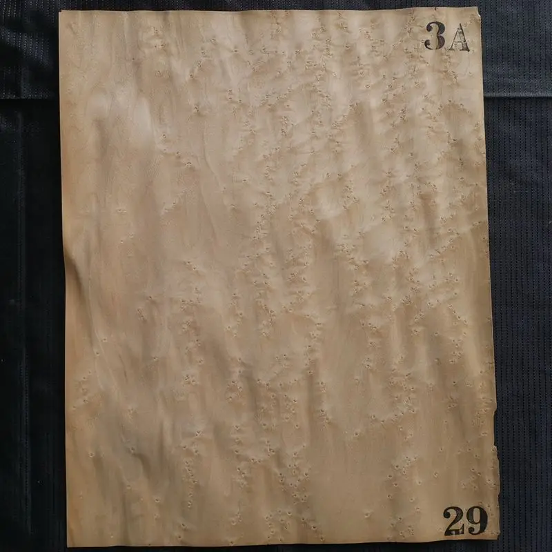 29