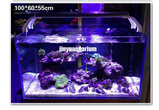 led light reef tank