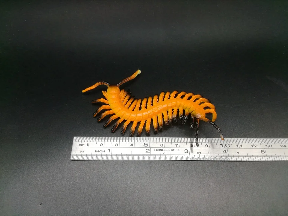 I814 (6)