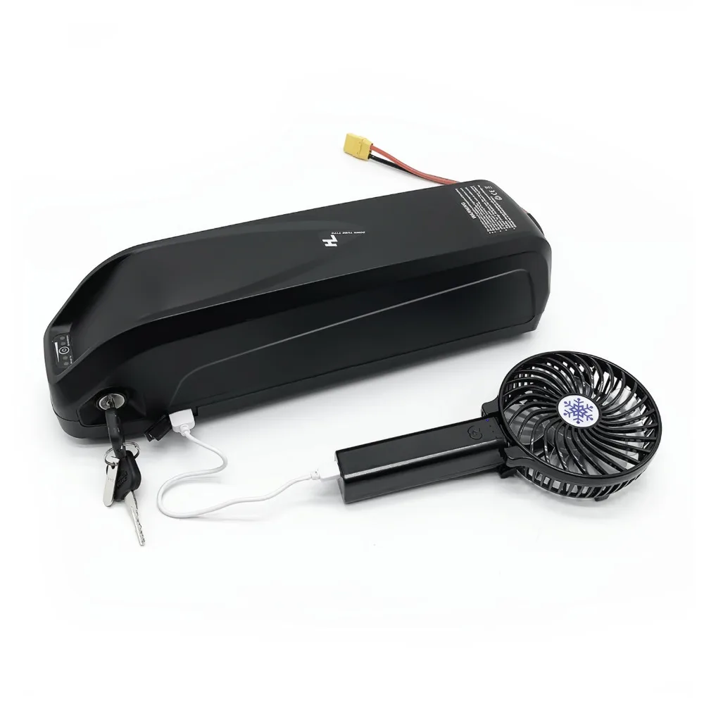 48V 30A BMS 500W 750W 1000W Hailong