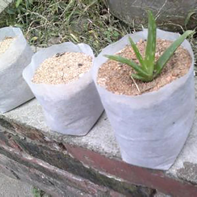100pcs Biodegradable Non-woven Seedling Bag Graft Tree Grow Bag Grape Cuttings Planting Container Bonsai Flower Nourishing Bag