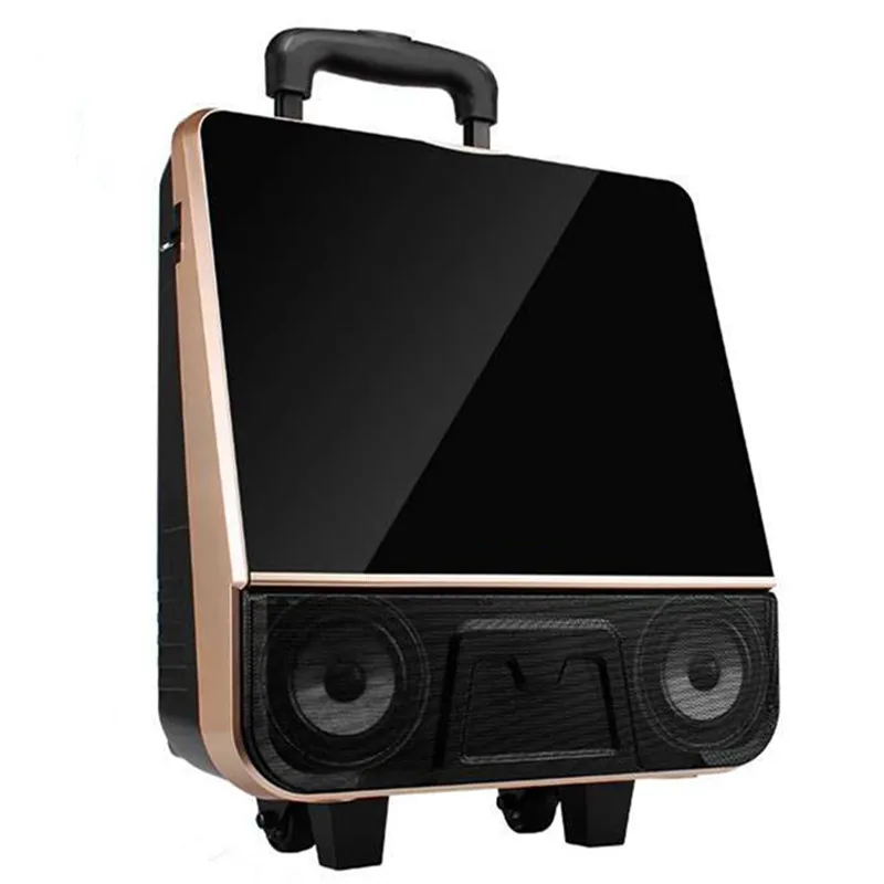 Outdoor portable video audio speaker bluetooth